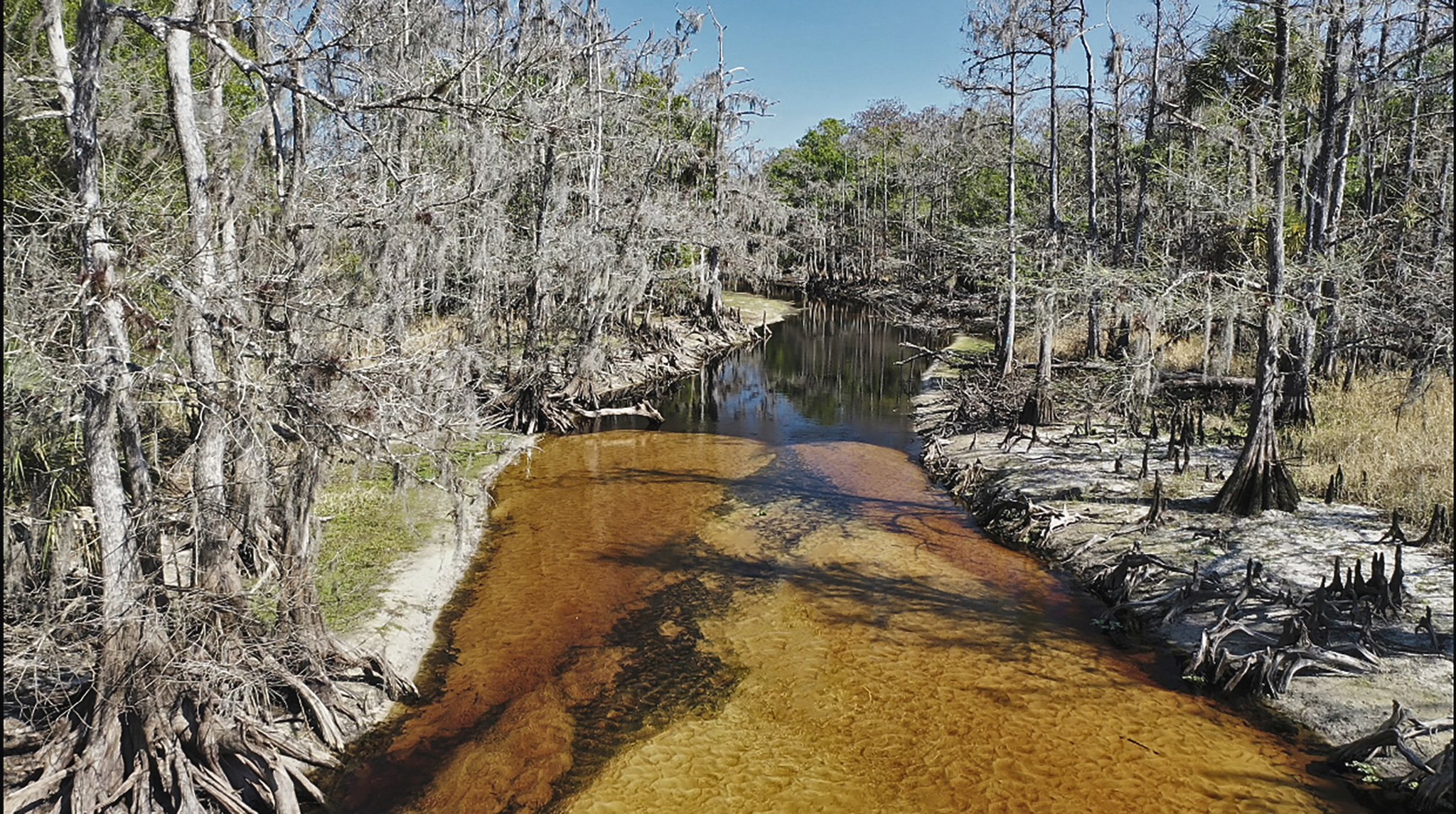 FLORIDA RIVER 01 20221